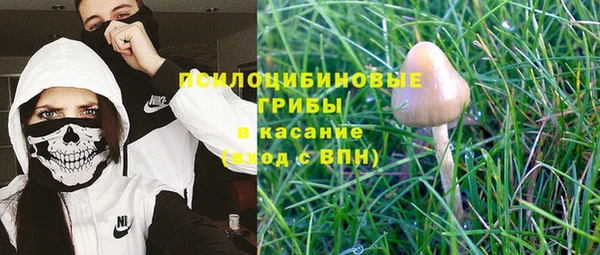 apvp Абдулино