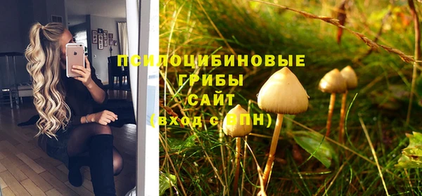 PSILOCYBIN Абинск