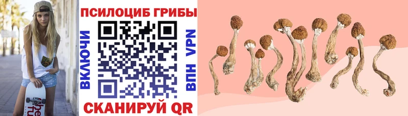 наркота  Комсомольск-на-Амуре  Псилоцибиновые грибы прущие грибы 