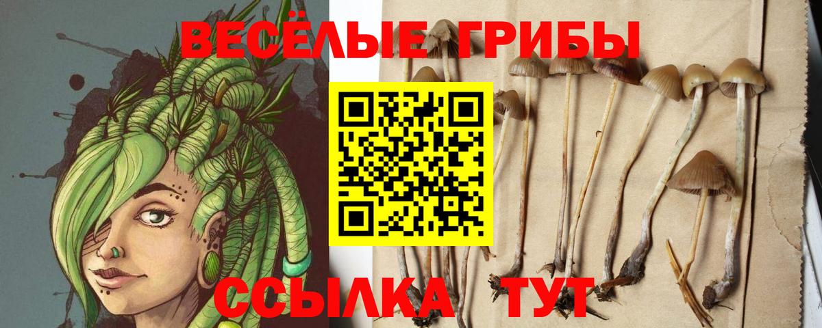 Галлюциногенные грибы мицелий  Вход с VPN  Комсомольск-на-Амуре 